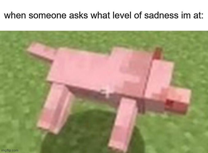 minecraft dog dying | when someone asks what level of sadness im at: | image tagged in minecraft dog dying | made w/ Imgflip meme maker