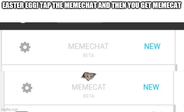 EASTER EGG! TAP THE MEMECHAT AND THEN YOU GET MEMECAT | image tagged in easter egg | made w/ Imgflip meme maker