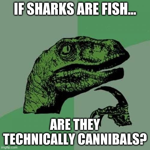 When I made this, i made myself think hard | IF SHARKS ARE FISH... ARE THEY TECHNICALLY CANNIBALS? | image tagged in memes,philosoraptor | made w/ Imgflip meme maker