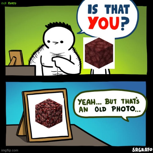 I miss old netherrack | image tagged in is that you yeah but that's an old photo,minecraft,memes,old,new | made w/ Imgflip meme maker