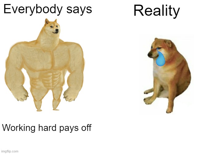 Everybody and working hard | Everybody says; Reality; Working hard pays off | image tagged in memes,buff doge vs cheems | made w/ Imgflip meme maker