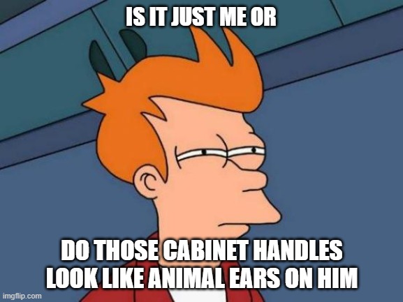 Futurama Fry | IS IT JUST ME OR; DO THOSE CABINET HANDLES LOOK LIKE ANIMAL EARS ON HIM | image tagged in memes,futurama fry | made w/ Imgflip meme maker