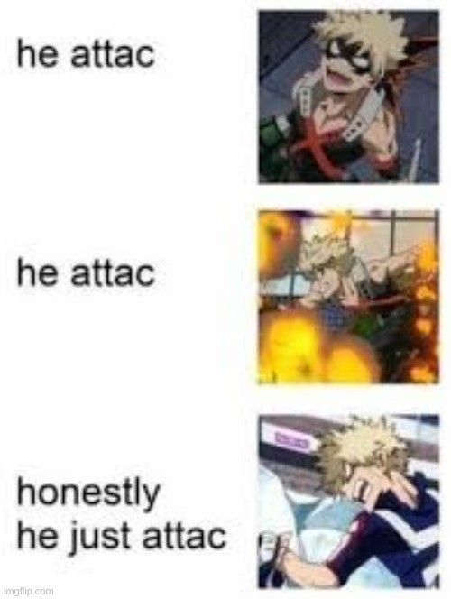 He really just attacc | image tagged in bakugo,plus ultra,mha | made w/ Imgflip meme maker