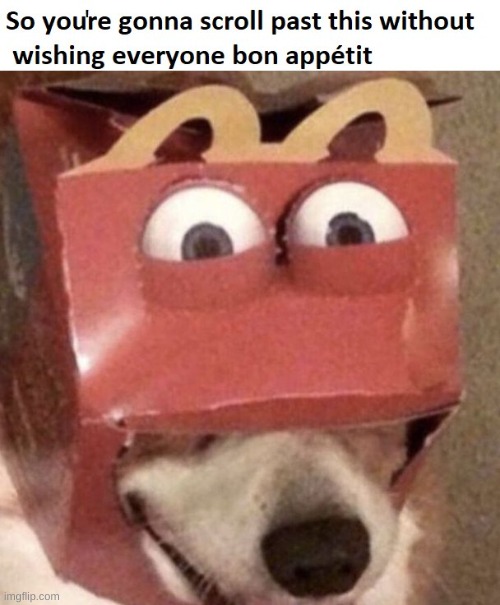 you better not | image tagged in hungry,doge,awsome | made w/ Imgflip meme maker