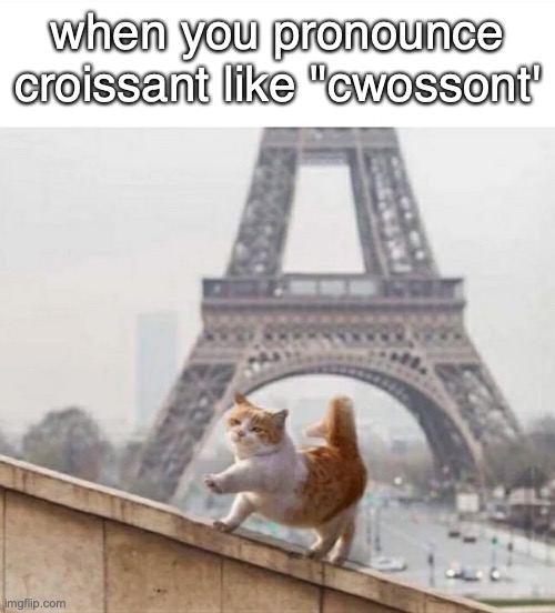 France cat | when you pronounce croissant like "cwossont' | image tagged in france cat | made w/ Imgflip meme maker