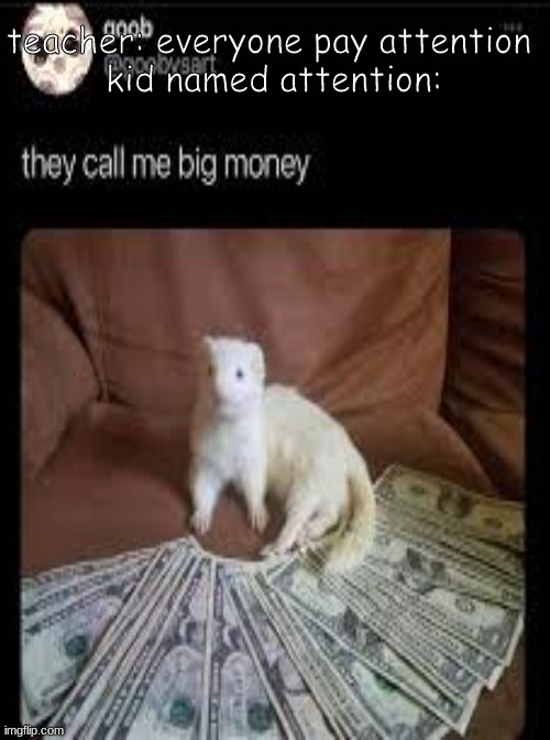 big money | teacher: everyone pay attention 
kid named attention: | image tagged in ferret,money,memes | made w/ Imgflip meme maker