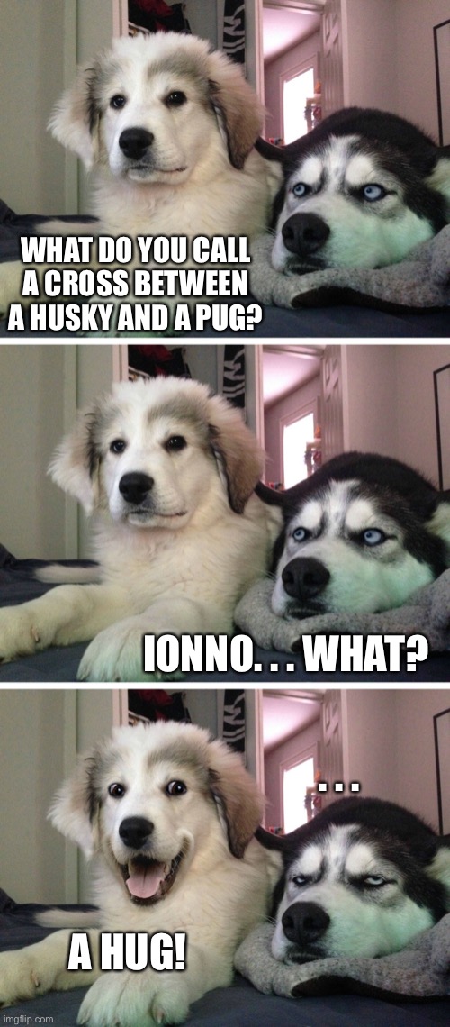 Bad pun dogs | WHAT DO YOU CALL A CROSS BETWEEN A HUSKY AND A PUG? IONNO. . . WHAT? . . . A HUG! | image tagged in bad pun dogs | made w/ Imgflip meme maker