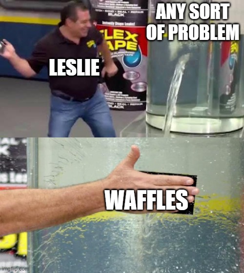 problem? solution: waffles | ANY SORT OF PROBLEM; LESLIE; WAFFLES | image tagged in flex tape,parks and rec | made w/ Imgflip meme maker