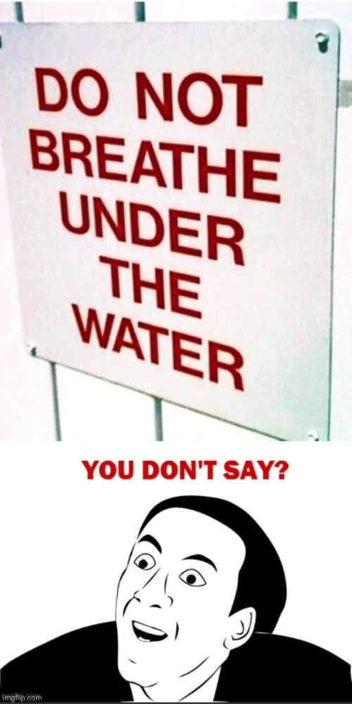 You don’t say | image tagged in really | made w/ Imgflip meme maker