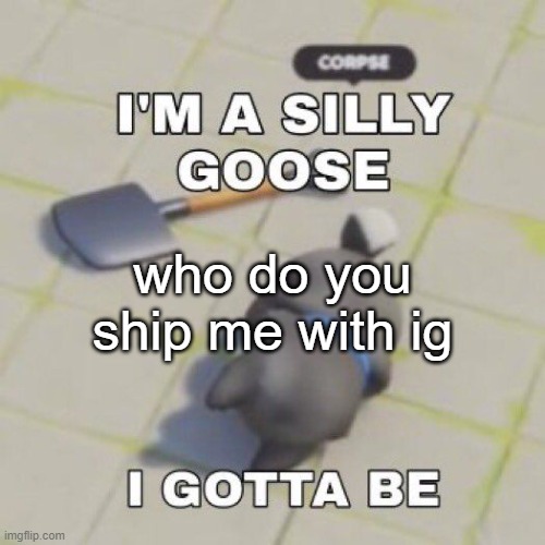 silly goose | who do you ship me with ig | image tagged in silly goose | made w/ Imgflip meme maker