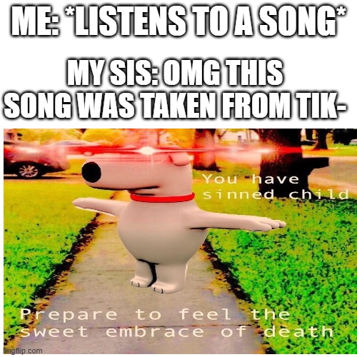 Never Sin with the LDoidjo | ME: *LISTENS TO A SONG*; MY SIS: OMG THIS SONG WAS TAKEN FROM TIK- | image tagged in you have sinned child | made w/ Imgflip meme maker