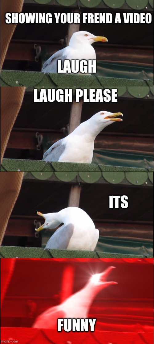 Inhaling Seagull | SHOWING YOUR FREND A VIDEO; LAUGH; LAUGH PLEASE; ITS; FUNNY | image tagged in memes,inhaling seagull | made w/ Imgflip meme maker