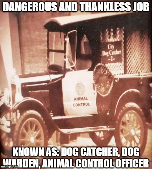 Animal Control | DANGEROUS AND THANKLESS JOB; KNOWN AS: DOG CATCHER, DOG WARDEN, ANIMAL CONTROL OFFICER | image tagged in animal control,dog catcher,animal warden,animals,pet detective,fur babies | made w/ Imgflip meme maker