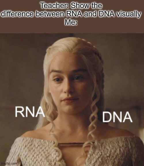 Teacher: Show the difference between RNA and DNA visually
Me: | made w/ Imgflip meme maker