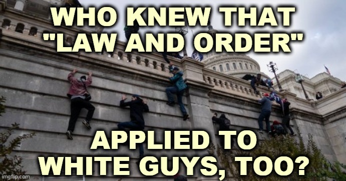 Any of you guys seen "Shawshank Redemption?" | WHO KNEW THAT "LAW AND ORDER"; APPLIED TO WHITE GUYS, TOO? | image tagged in capitol riot,white supremacists,riot,maga,fools | made w/ Imgflip meme maker