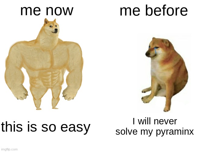 I just solved my first ever pyraminx |  me now; me before; this is so easy; I will never solve my pyraminx | image tagged in memes,buff doge vs cheems | made w/ Imgflip meme maker