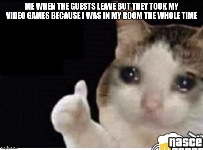 Gatto triste | ME WHEN THE GUESTS LEAVE BUT THEY TOOK MY VIDEO GAMES BECAUSE I WAS IN MY ROOM THE WHOLE TIME | image tagged in gatto triste | made w/ Imgflip meme maker