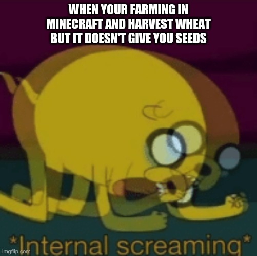 I'm literally playing Minecraft in class and this happened, a lot... | WHEN YOUR FARMING IN MINECRAFT AND HARVEST WHEAT BUT IT DOESN'T GIVE YOU SEEDS | image tagged in jake the dog internal screaming,minecraft,farming,seeds | made w/ Imgflip meme maker