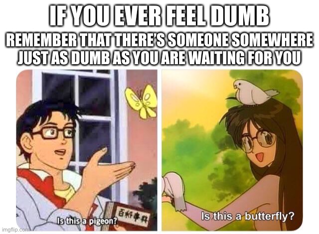Wholesome yet dumb Meme (Is this a pigeon / butterfly) | IF YOU EVER FEEL DUMB; REMEMBER THAT THERE’S SOMEONE SOMEWHERE JUST AS DUMB AS YOU ARE WAITING FOR YOU | image tagged in is this a pigeon,dumb,anime,memes,stupid,wholesome | made w/ Imgflip meme maker