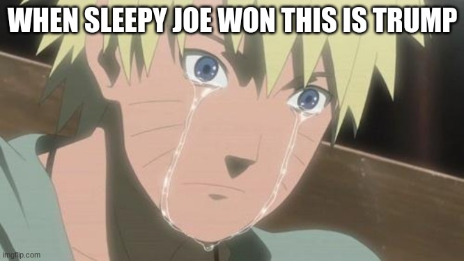 Finishing anime | WHEN SLEEPY JOE WON THIS IS TRUMP | image tagged in finishing anime | made w/ Imgflip meme maker