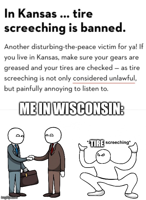 ME IN WISCONSIN:; TIRE | image tagged in autistic screeching | made w/ Imgflip meme maker