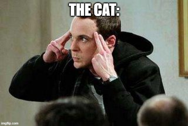 sheldon cooper mind control | THE CAT: | image tagged in sheldon cooper mind control | made w/ Imgflip meme maker