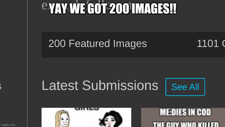 YAY WE GOT 200 IMAGES!! | image tagged in yay,200 images baby | made w/ Imgflip meme maker