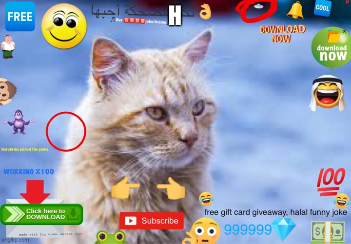 Arabfunny #1 | H | image tagged in arabic,cats | made w/ Imgflip meme maker