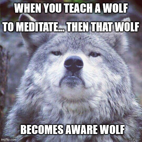 Aware Wolf | WHEN YOU TEACH A WOLF; TO MEDITATE... THEN THAT WOLF; BECOMES AWARE WOLF | image tagged in haiku,wolf,meditate,meditation,werewolf | made w/ Imgflip meme maker