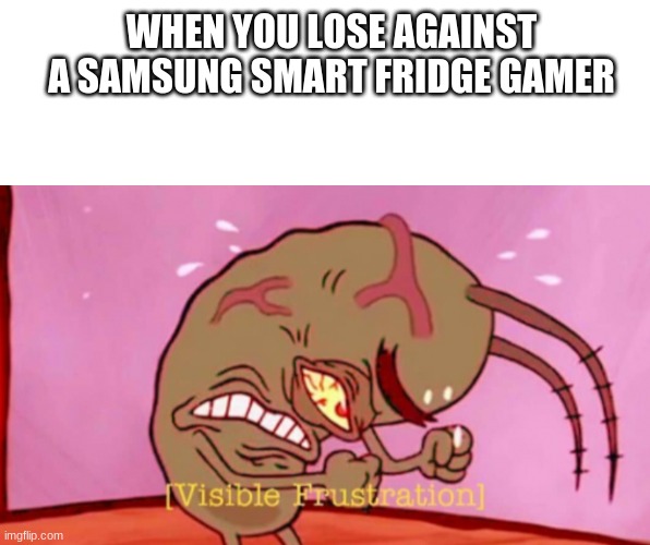 WHEN YOU LOSE AGAINST A SAMSUNG SMART FRIDGE GAMER | image tagged in visible frustration hd | made w/ Imgflip meme maker