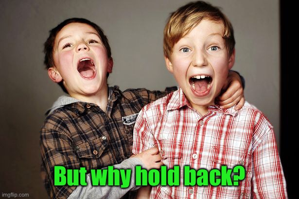 But why hold back? | made w/ Imgflip meme maker