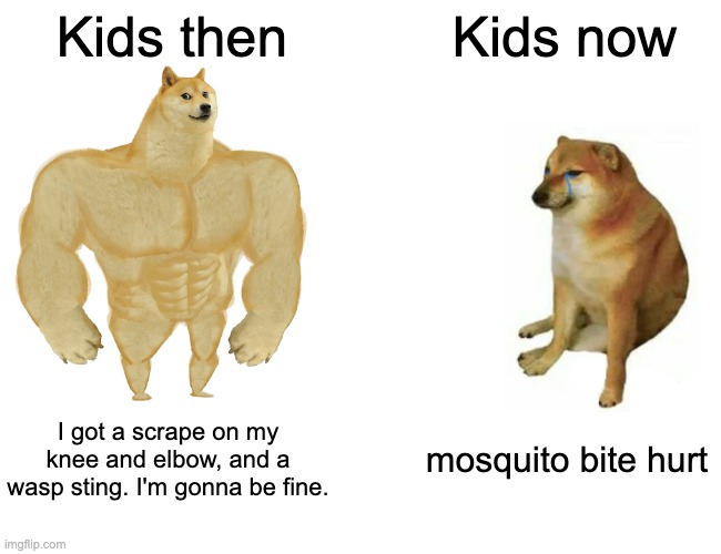 Kids then vs kids now | Kids then; Kids now; I got a scrape on my knee and elbow, and a wasp sting. I'm gonna be fine. mosquito bite hurt | image tagged in memes,buff doge vs cheems | made w/ Imgflip meme maker