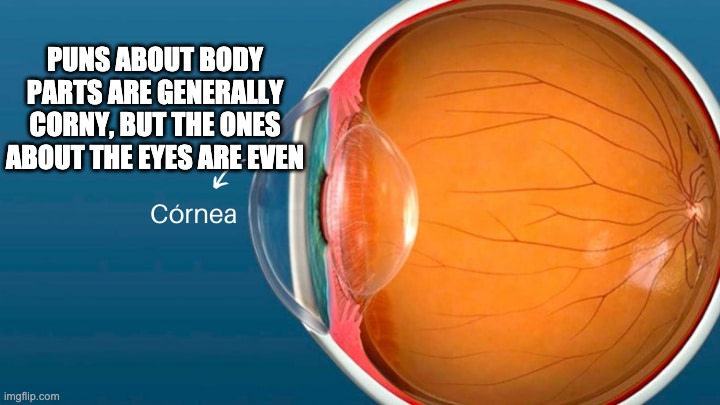 Corny meme | PUNS ABOUT BODY PARTS ARE GENERALLY CORNY, BUT THE ONES ABOUT THE EYES ARE EVEN | image tagged in puns | made w/ Imgflip meme maker