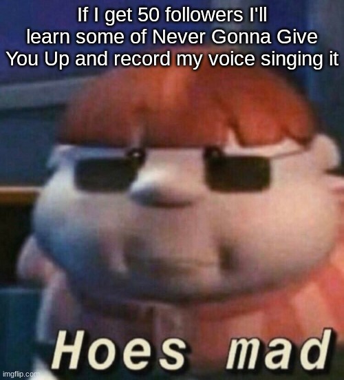 WE'RE NO STRANGERS TO LOOOOVE- | If I get 50 followers I'll learn some of Never Gonna Give You Up and record my voice singing it | image tagged in hoes mad | made w/ Imgflip meme maker