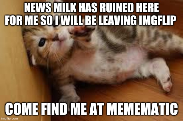 goodbye well Maybe I won't be on memematic I'll be somewhere | NEWS MILK HAS RUINED HERE FOR ME SO I WILL BE LEAVING IMGFLIP; COME FIND ME AT MEMEMATIC | image tagged in sad kitten goodbye | made w/ Imgflip meme maker