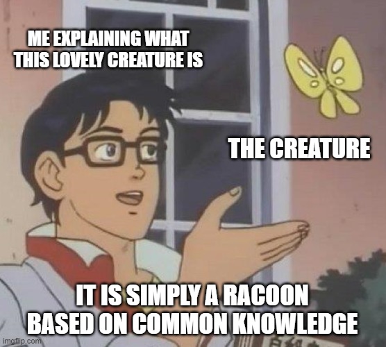 Is This A Pigeon | ME EXPLAINING WHAT THIS LOVELY CREATURE IS; THE CREATURE; IT IS SIMPLY A RACOON BASED ON COMMON KNOWLEDGE | image tagged in memes,is this a pigeon | made w/ Imgflip meme maker
