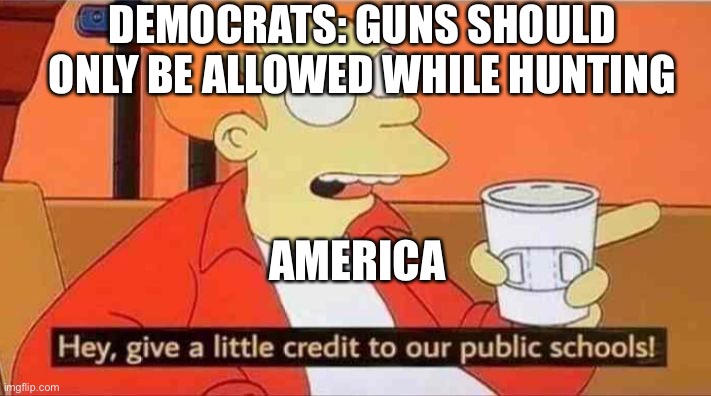 Give a little credit to our public schools |  DEMOCRATS: GUNS SHOULD ONLY BE ALLOWED WHILE HUNTING; AMERICA | image tagged in give a little credit to our public schools | made w/ Imgflip meme maker