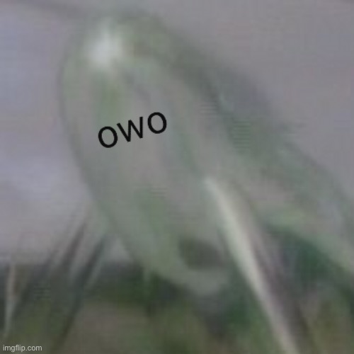 owo waterwraith | image tagged in owo waterwraith | made w/ Imgflip meme maker