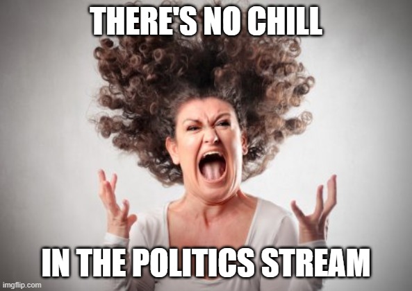 Screaming woman | THERE'S NO CHILL IN THE POLITICS STREAM | image tagged in screaming woman | made w/ Imgflip meme maker