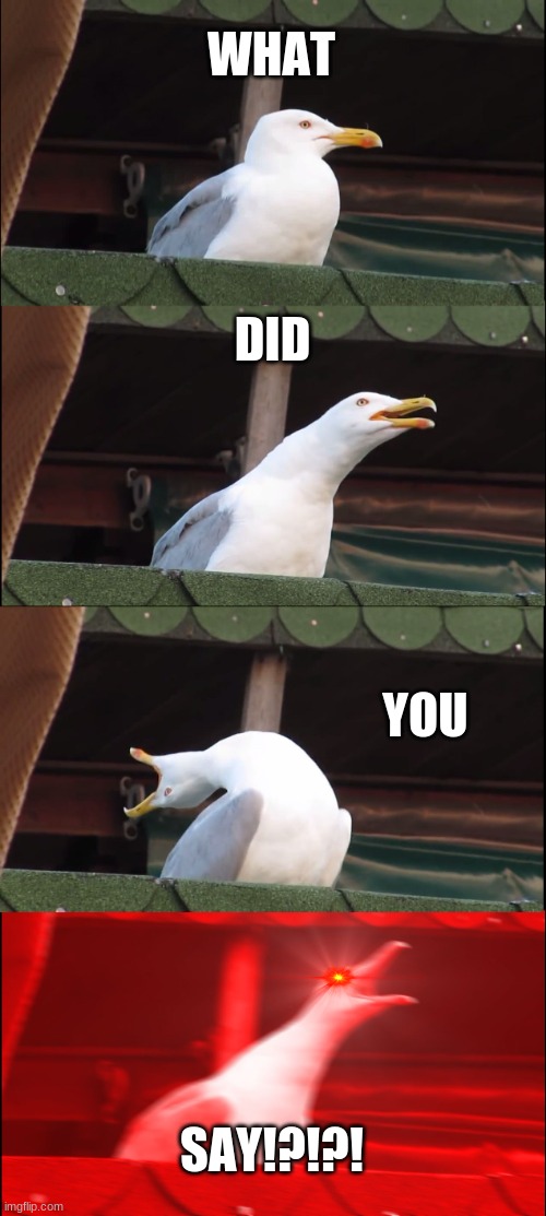Inhaling Seagull Meme | WHAT DID YOU SAY!?!?! | image tagged in memes,inhaling seagull | made w/ Imgflip meme maker