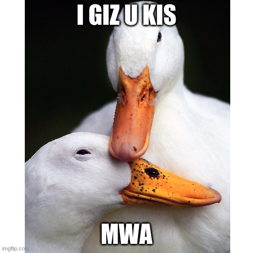 I GIV U KIS KIS | I GIZ U KIS; MWA | made w/ Imgflip meme maker