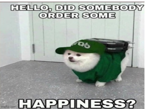 Heres you order | image tagged in dog,blank | made w/ Imgflip meme maker
