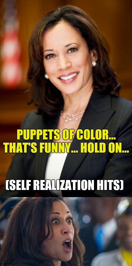 PUPPETS OF COLOR... THAT'S FUNNY... HOLD ON... (SELF REALIZATION HITS) | image tagged in kamala harris,kamala harriss | made w/ Imgflip meme maker