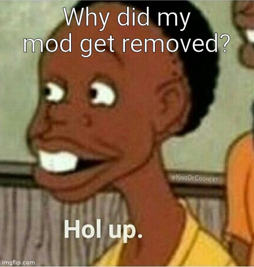 hol up | Why did my mod get removed? | image tagged in hol up | made w/ Imgflip meme maker