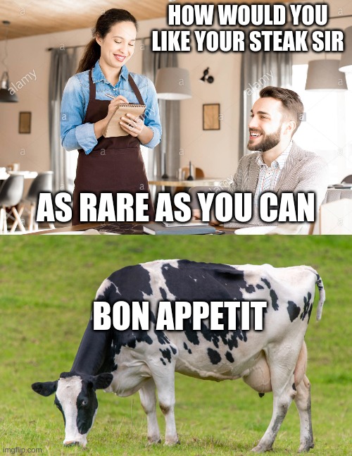 HOW WOULD YOU LIKE YOUR STEAK SIR; AS RARE AS YOU CAN; BON APPETIT | made w/ Imgflip meme maker