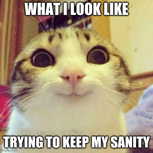 Smiling Cat | WHAT I LOOK LIKE; TRYING TO KEEP MY SANITY | image tagged in memes,smiling cat | made w/ Imgflip meme maker