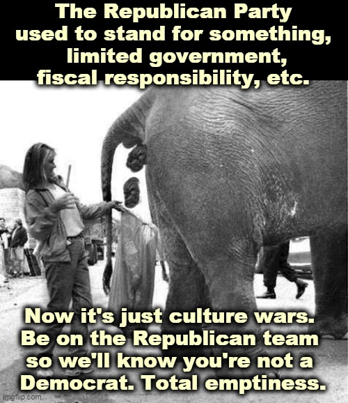 Us against them. Gets old really fast. | The Republican Party used to stand for something,
 limited government, fiscal responsibility, etc. Now it's just culture wars. 
Be on the Republican team 
so we'll know you're not a 
Democrat. Total emptiness. | image tagged in the republican party lets go with another press release,gop,republican,empty,meaning,nothing | made w/ Imgflip meme maker