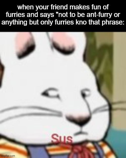 sus | when your friend makes fun of furries and says "not to be ant-furry or anything but only furries kno that phrase: | image tagged in sus | made w/ Imgflip meme maker