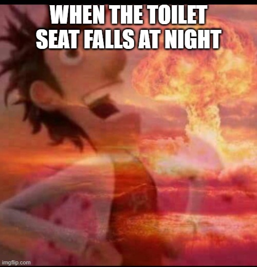 MushroomCloudy | WHEN THE TOILET SEAT FALLS AT NIGHT | image tagged in mushroomcloudy | made w/ Imgflip meme maker
