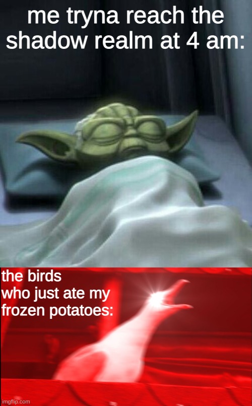 QueenRoro made me post this | me tryna reach the shadow realm at 4 am:; the birds who just ate my frozen potatoes: | image tagged in sleepin i am,screaming bird | made w/ Imgflip meme maker